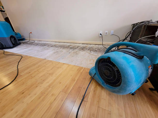 Professional Water Damage Repair technician working in Sharon, PA